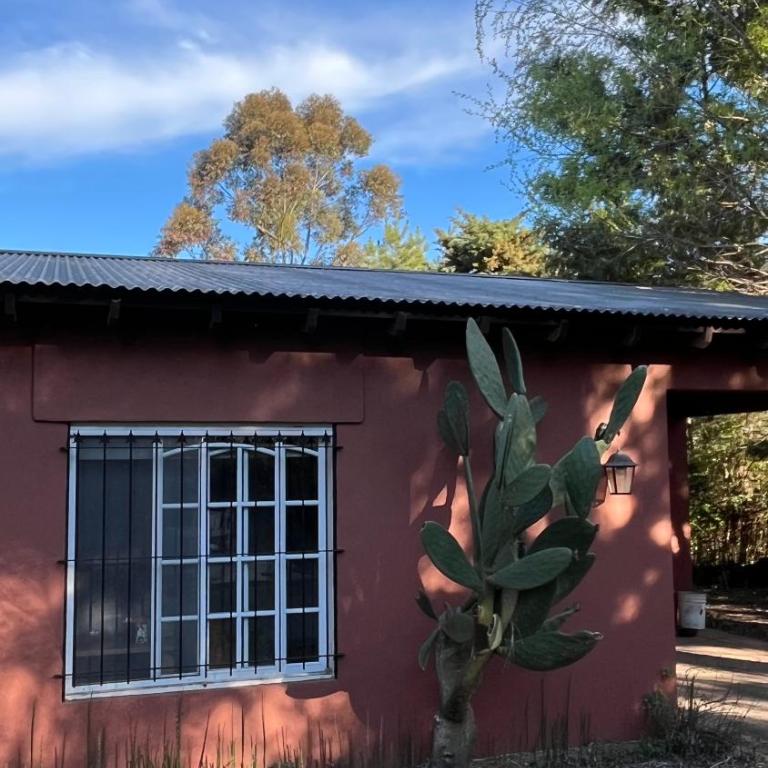 Terranostra, una casa quinta para disfrutar en familia - Casa de 2 dormitorios - 48