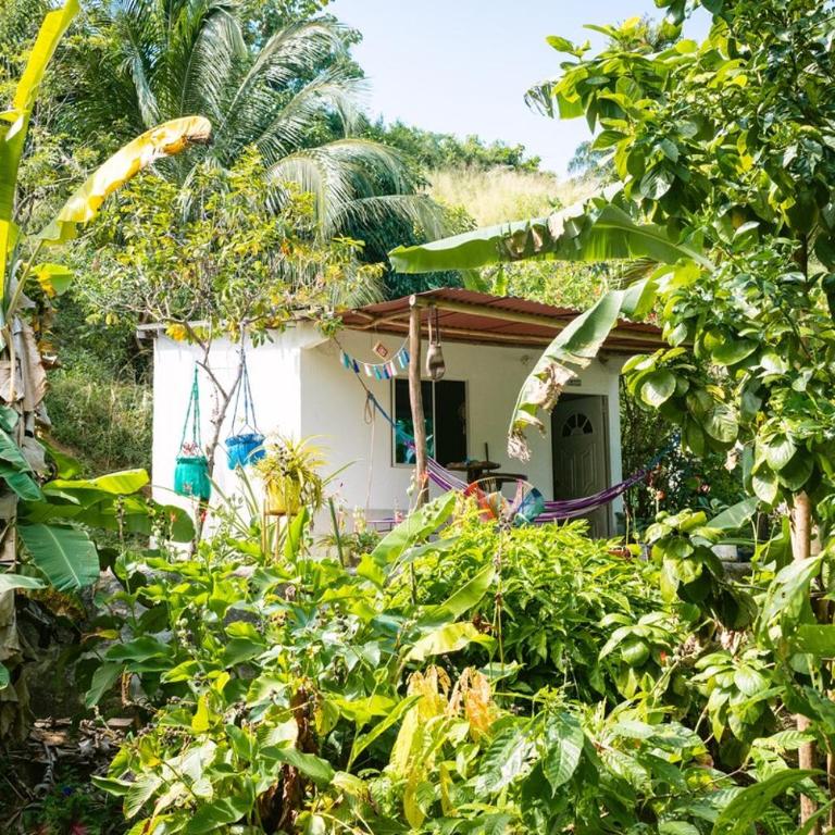 Finca Natural Mystic - One-Bedroom Apartment - 7