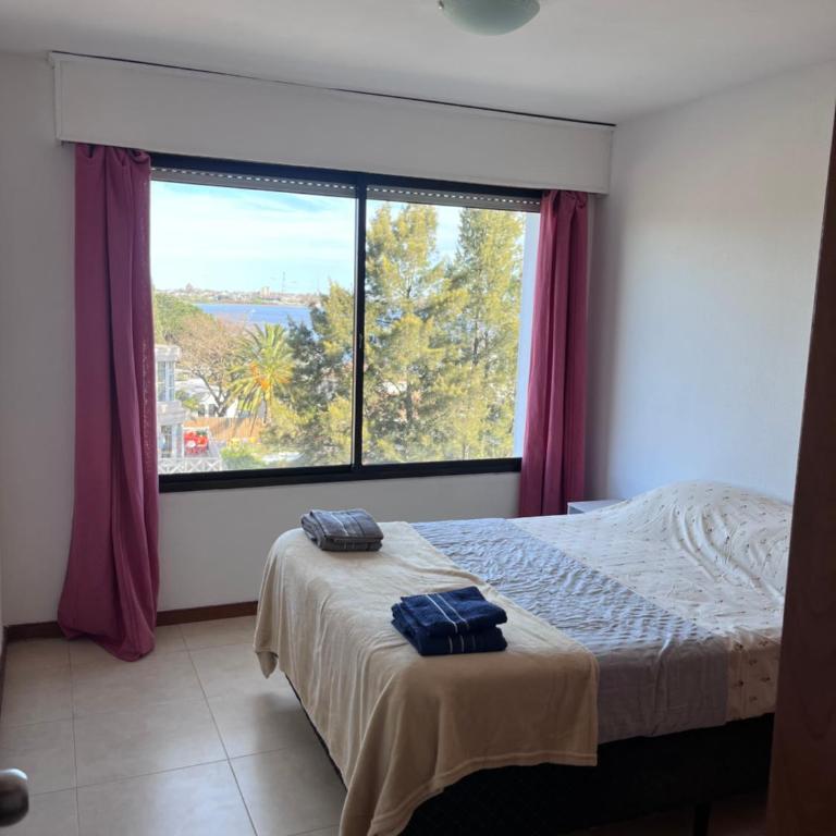 Apto Matrero 2 habitaciones 2 baños ambientes amplios - Apartamento de 2 dormitorios - 12