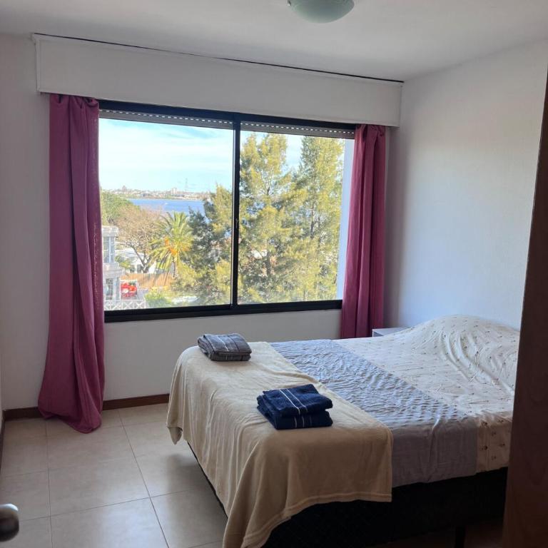 Apto Matrero 1 habitación ambientes amplios - Apartamento de 1 dormitorio - 11