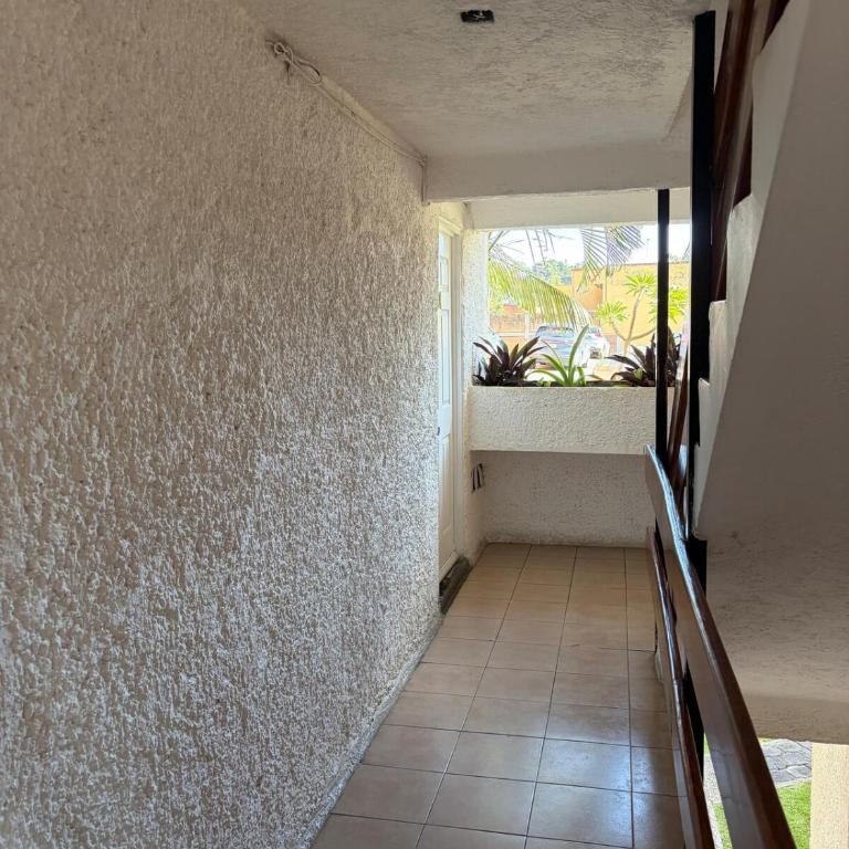 Family apartment in downtown Cuernavaca - Appartement 2 Chambres - 12