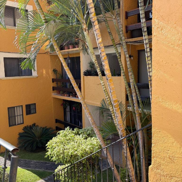 Family apartment in downtown Cuernavaca - Appartement 2 Chambres - 13