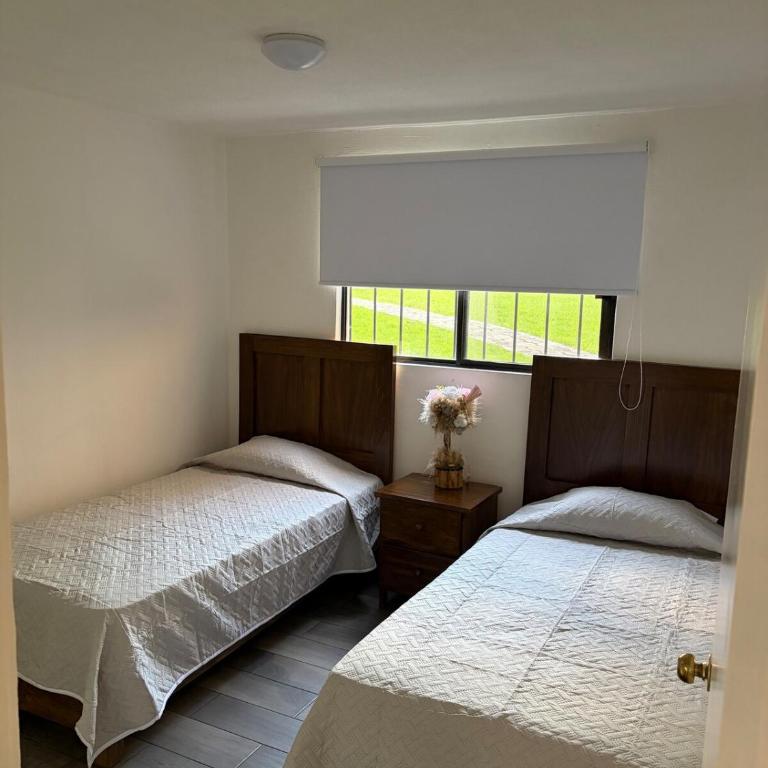 Family apartment in downtown Cuernavaca - Appartement 2 Chambres - 28
