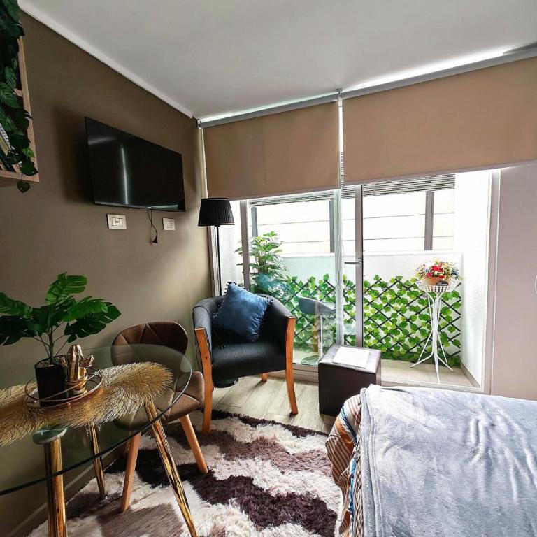 Apartment in the Heart of Stgo, wifi, next to the subway - Apartamento de 1 dormitorio - 20
