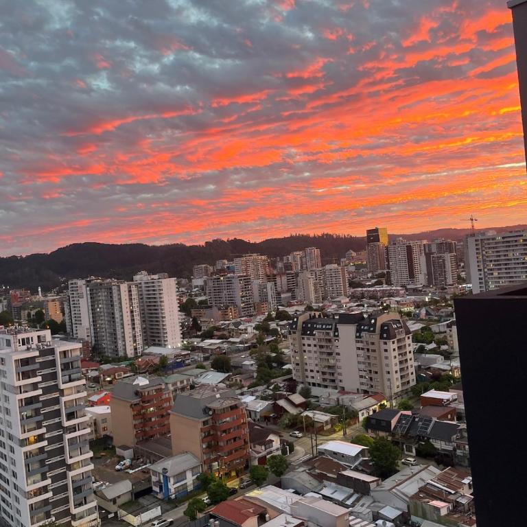Comfortable, equipped apartment with a beautiful view, centrally located - One-Bedroom Apartment - 6