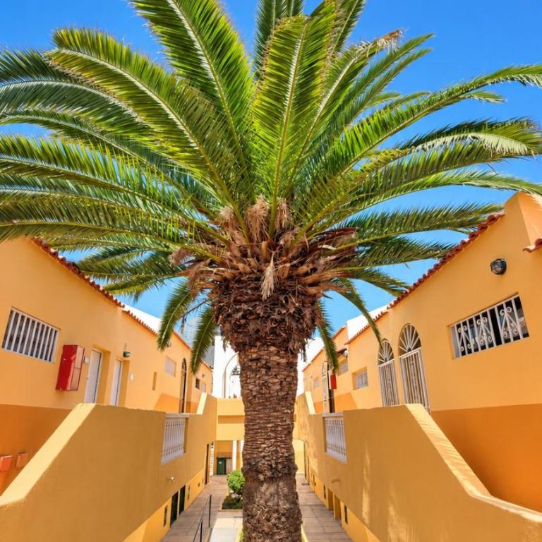 Mareverde sea & mountain view with pool - Apartamento de 1 dormitorio - 3