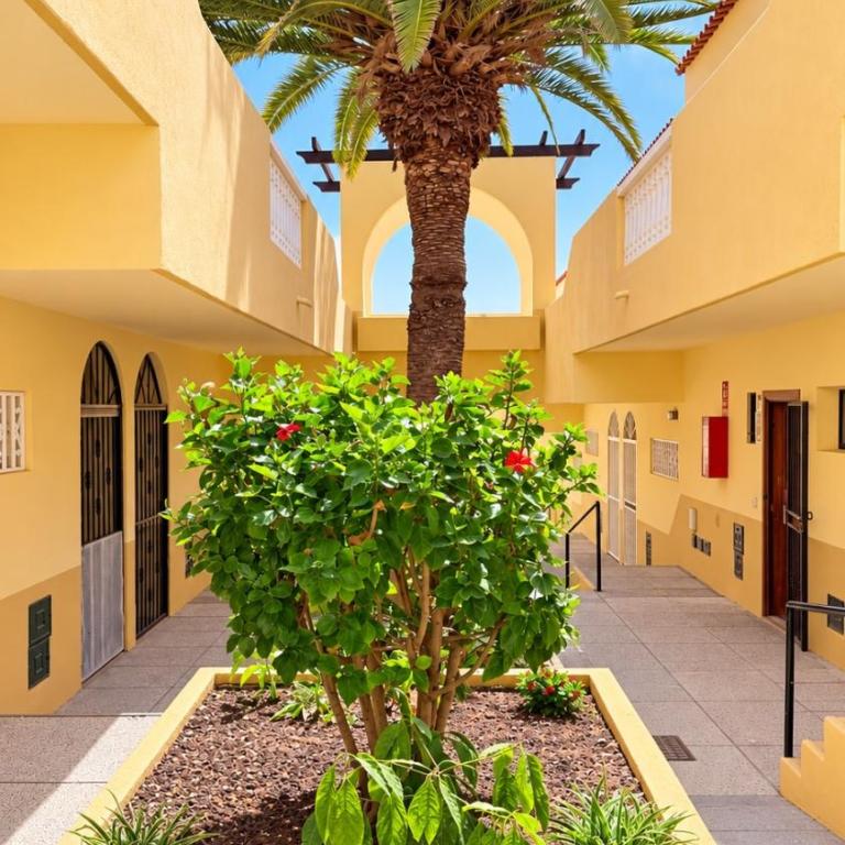 Mareverde sea & mountain view with pool - Apartamento de 1 dormitorio - 17