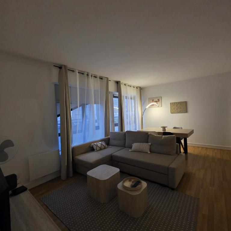 Le Cambronne Tour Eiffel - Appartement 1 Chambre - 13