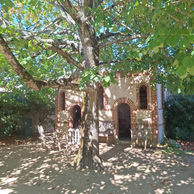 Villa Serpentine - Maison d'Hôtes - Camera Queen Standard - 7