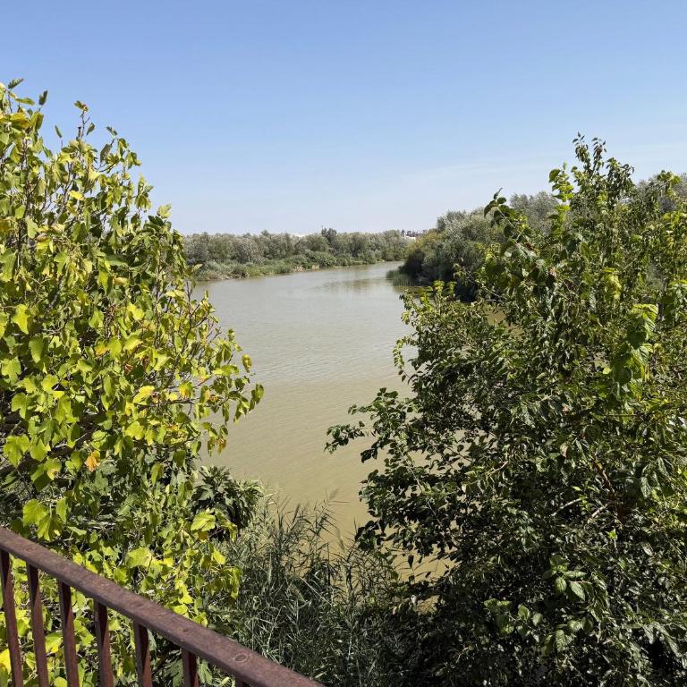 Ático Aguayos con terraza y cuatro dormitorios. - Apartment - 93