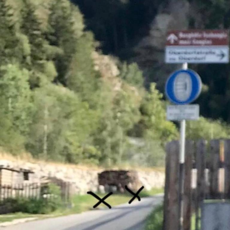 SOMMERFRISCHE TSCHENGLS Ein ganzes historisches Ferienhaus für euch in SÜDTIROL Urlaub im ruhigen Bergdorf Tschengls im Vinschgau mit Weitblick und Gartenterrasse ideal für Kleingruppen Familien mit Hund - Apartamento de 3 dormitorios - 48