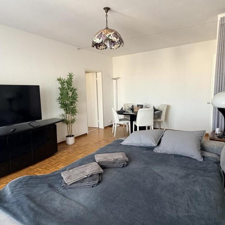 Bright and Spacious apartment with great views - Appartement 2 Chambres - 5