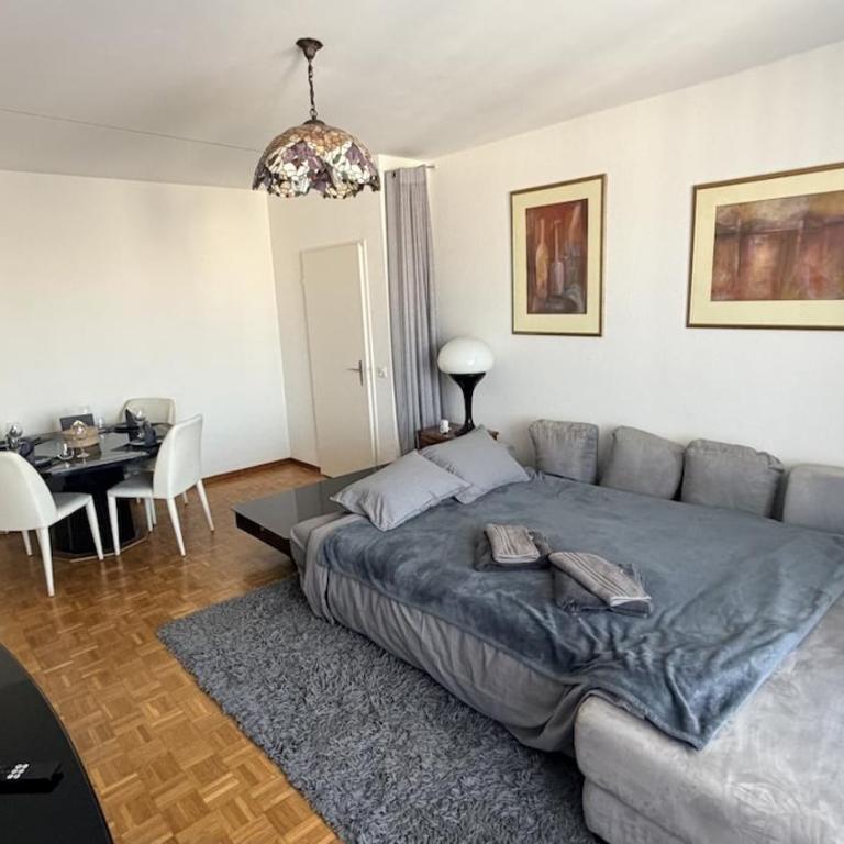 Bright and Spacious apartment with great views - Appartement 2 Chambres - 10