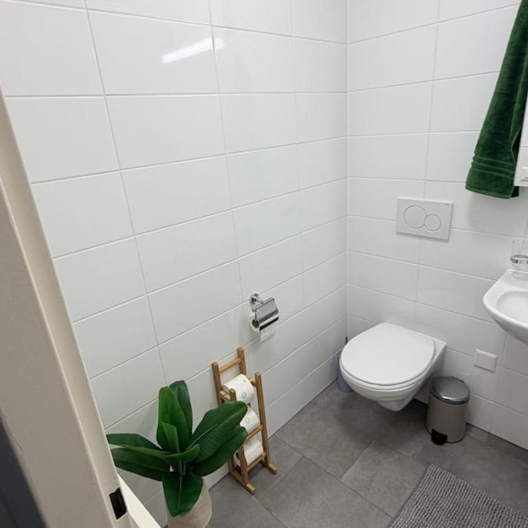Bright and Spacious apartment with great views - Appartement 2 Chambres - 17