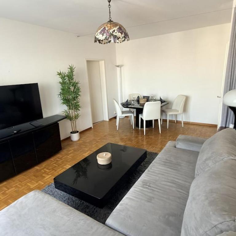 Bright and Spacious apartment with great views - Appartement 2 Chambres - 20