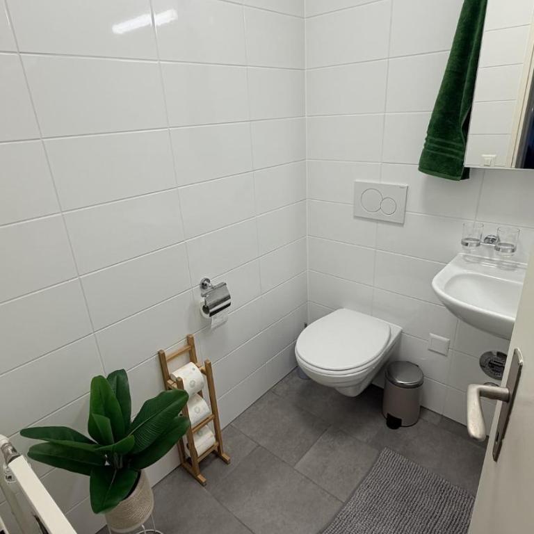 Bright and Spacious apartment with great views - Appartement 2 Chambres - 25