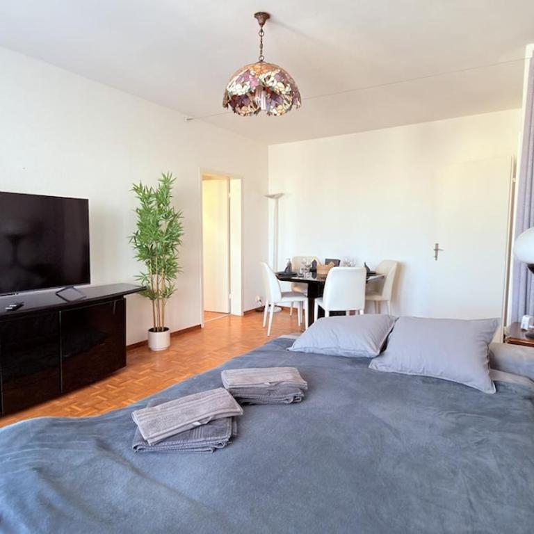 Bright and Spacious apartment with great views - Appartement 2 Chambres - 27
