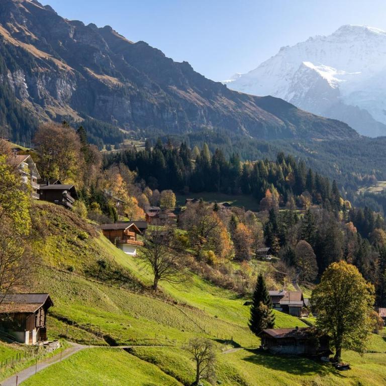 Chalet Silence - Apartment mit 3 Schlafzimmern - 5