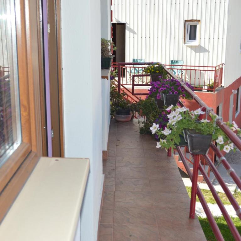 Apartmani Božana Vojinović - Two-Bedroom Apartment - 16