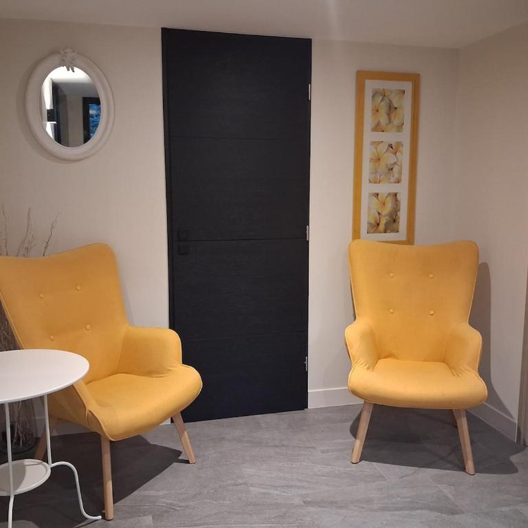 Renovated 30 m2 studio garden AC and parking - One-Bedroom Apartment - 12