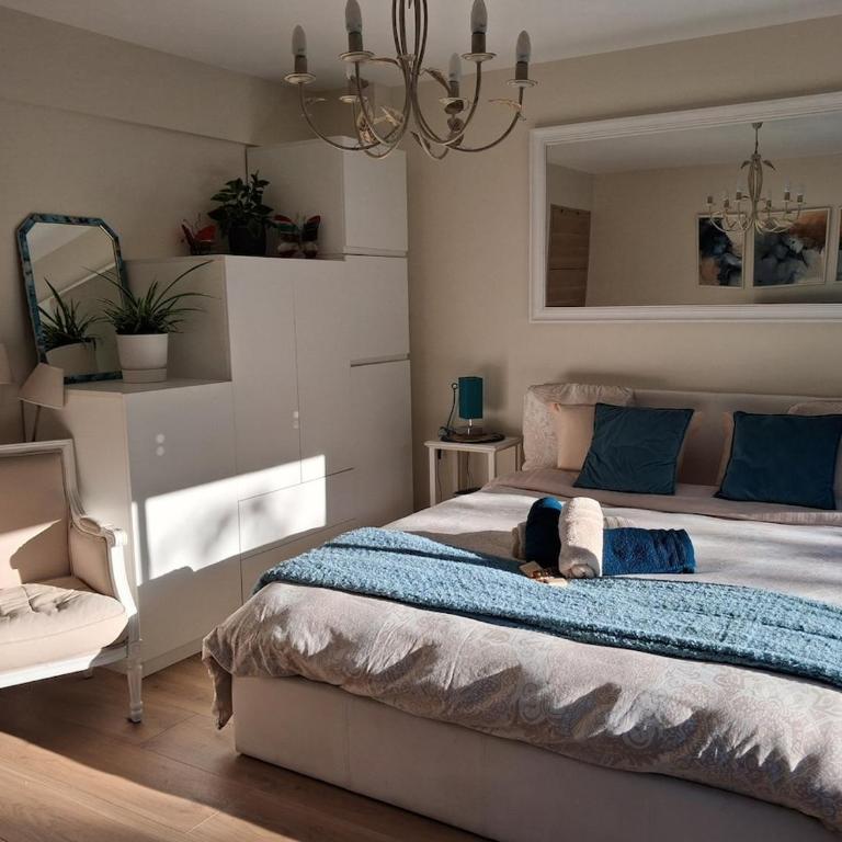 Renovated 30 m2 studio garden AC and parking - One-Bedroom Apartment - 16