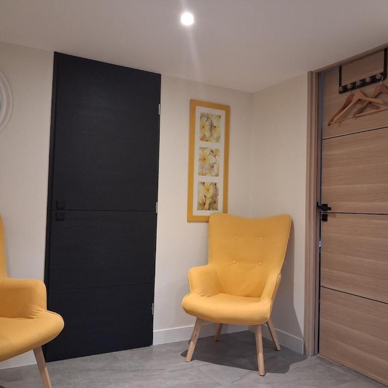 Renovated 30 m2 studio garden AC and parking - One-Bedroom Apartment - 20