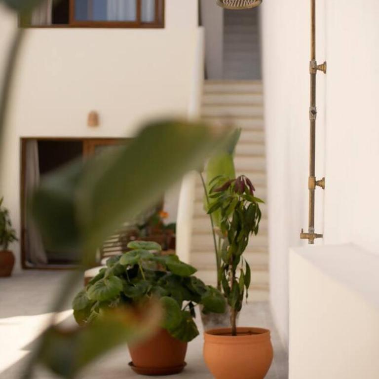 San Felipe Suites - Estudio con terraza - 5