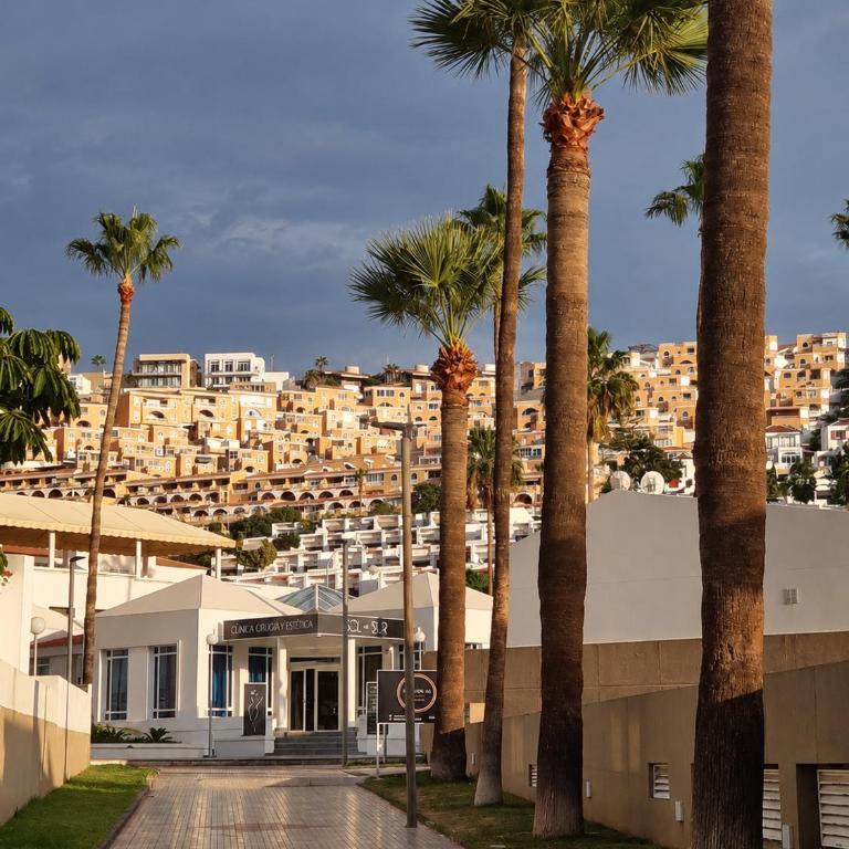 Grand Terrace,BBQ & Ocean View,Heated Pool,Costa Adeje - Apartamento de 2 dormitorios - 31