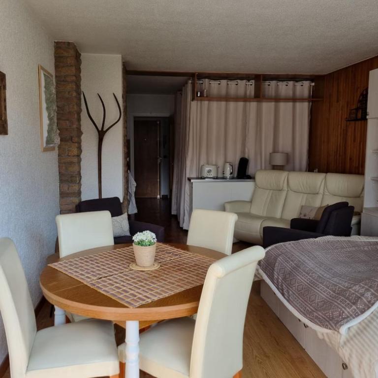 Ski & Sun Studio - Appartement 2 Chambres - 7
