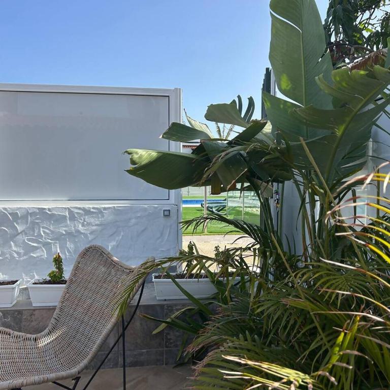 Oasis Beach III : Paradise with private Jacuzzi - Villa de 3 dormitorios - 82