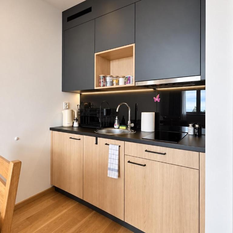 Apartman Skijaš 608 - Zlatni Javor - Apartman sa 1 Spavaćom Sobom - 5
