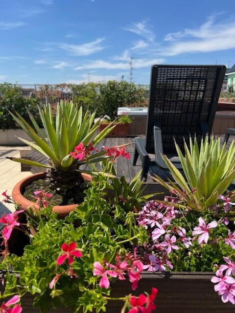 Rooftop 25 3 Suites Big Terrace - Three-Bedroom Apartment - 32