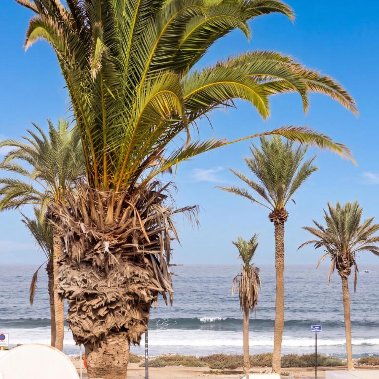SUNSET LUXURY VILLA in PARQUE SANTIAGO 1 - Chalet de 2 dormitorios - 25