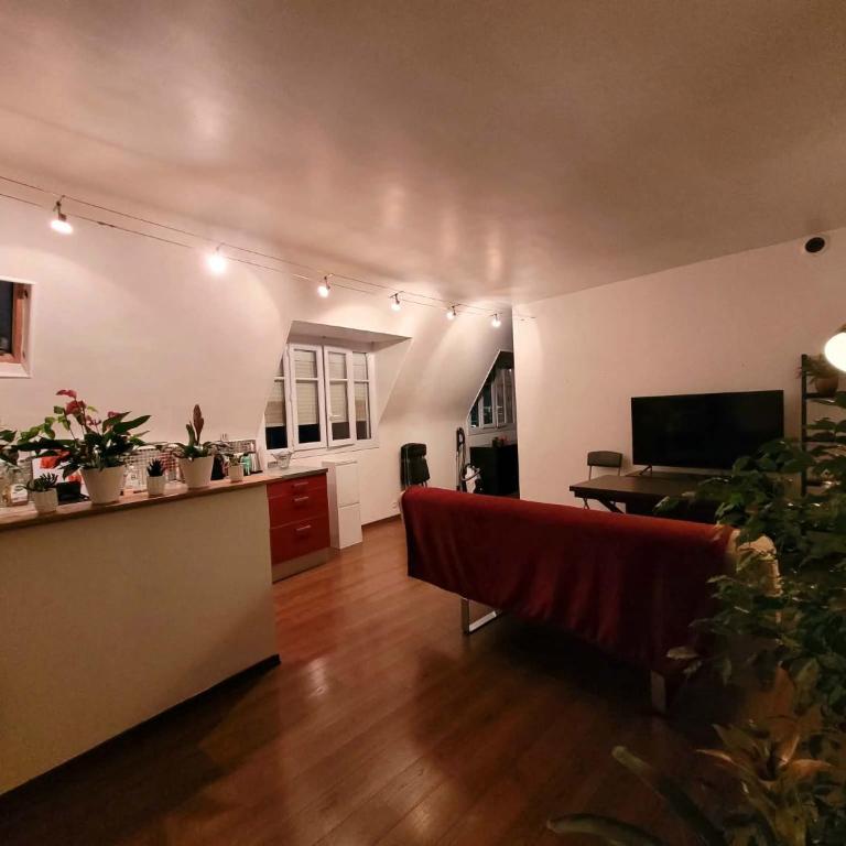 Magnifique loft vue Tour Eiffel - Appartement 1 Chambre - 1