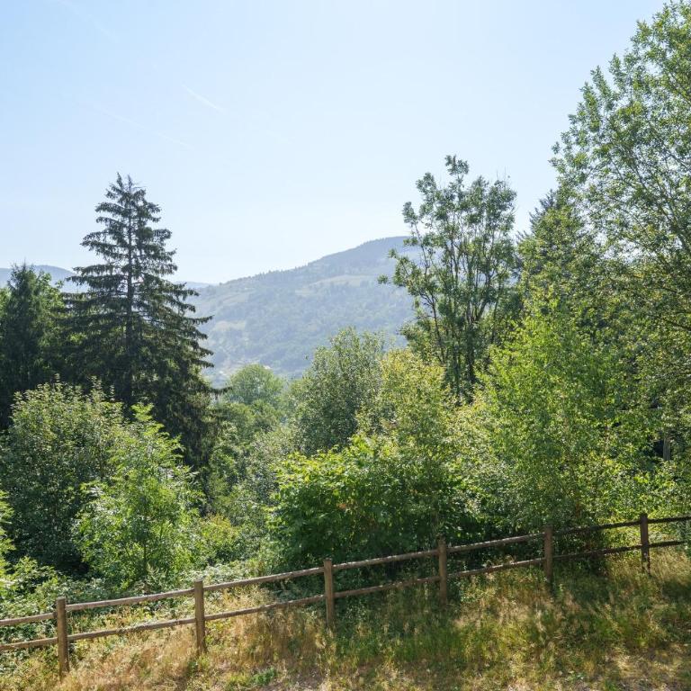 Les Souvenirs du Reucy - vue montagne - Maison de Vacances - 6