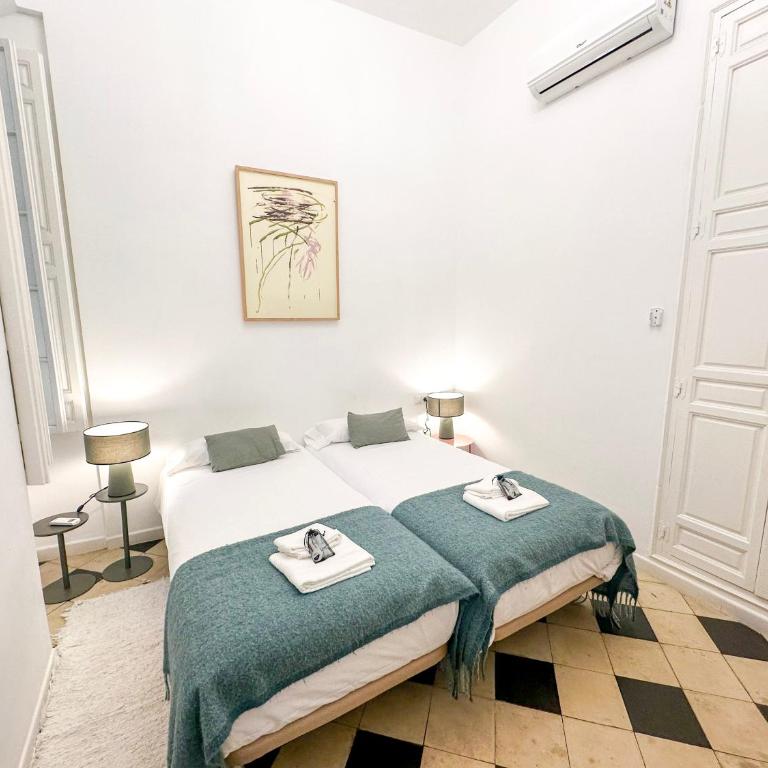 Malaga Center Flat balcony at Picasso’s home - Appartamento con Balcone - 41