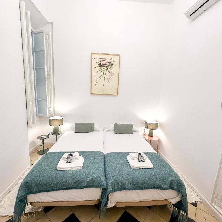 Malaga Center Flat balcony at Picasso’s home - Appartamento con Balcone - 42