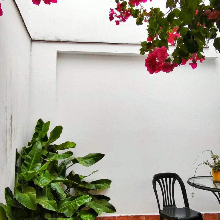 Punto Salta II - One-Bedroom Apartment - 10