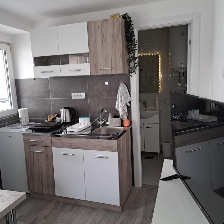 Mags Studio Zemun - Appartement 1 Chambre - 1