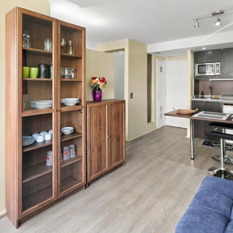 Oceana Suites Providencia - One-Bedroom Apartment with View - 4