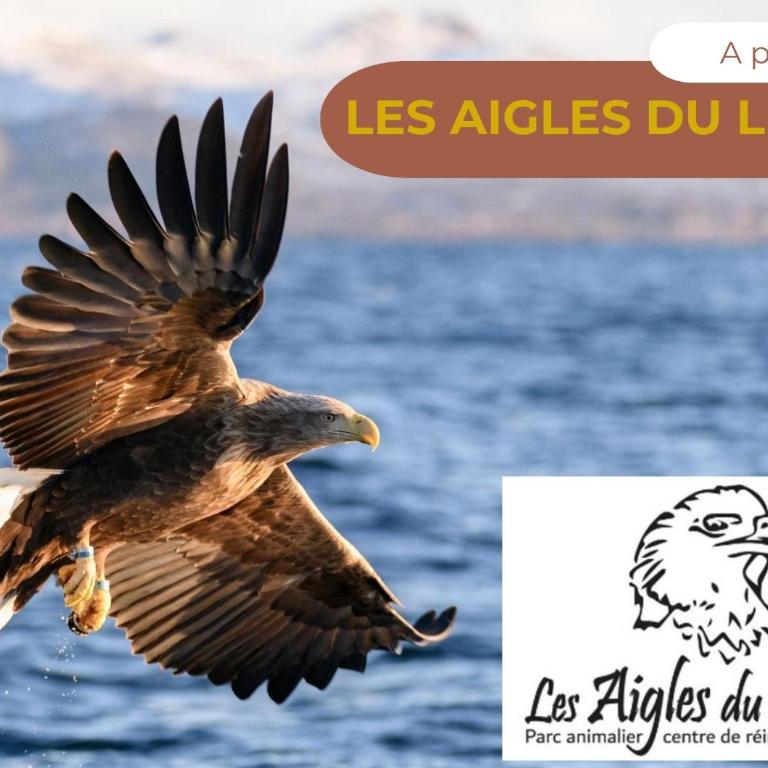 Refuge, au pied des pistes, vue lac et montagnes - Appartement 3 Chambres avec Vue sur l'Eau - 41
