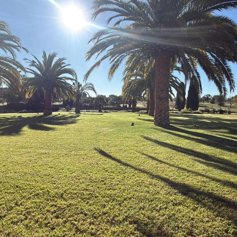 Quiet detached villa with tennis court - Villa - 40