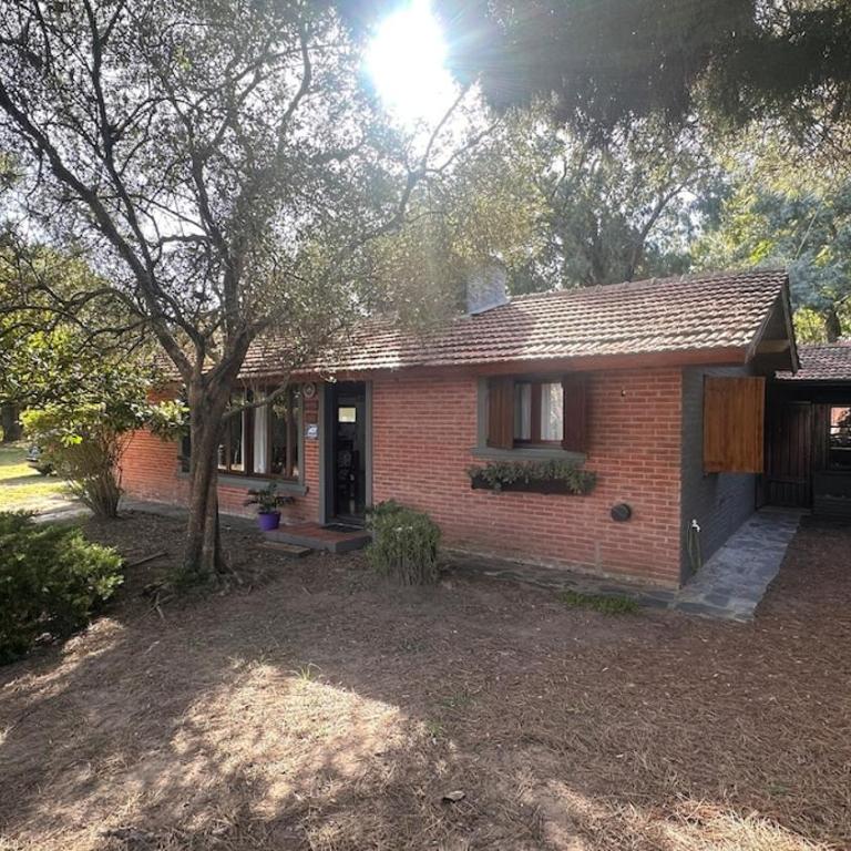 Casa entre la naturaleza de Mar de Ostende - Casa - 22