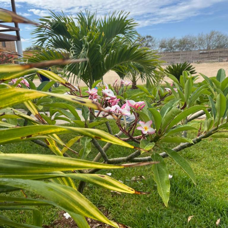 Kalani heights 1 bedroom house that sleeps 6 - One-Bedroom Apartment - 34