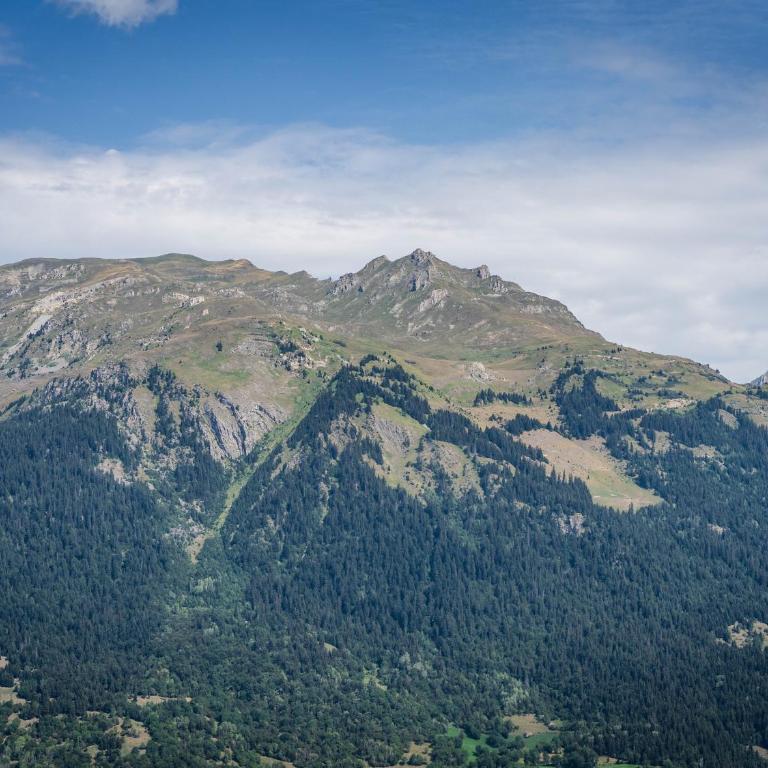 Superbe appartement à Plagne Montalbert, proche des pistes avec wifi et parking - FR-1-755-18 - Apartment - 13