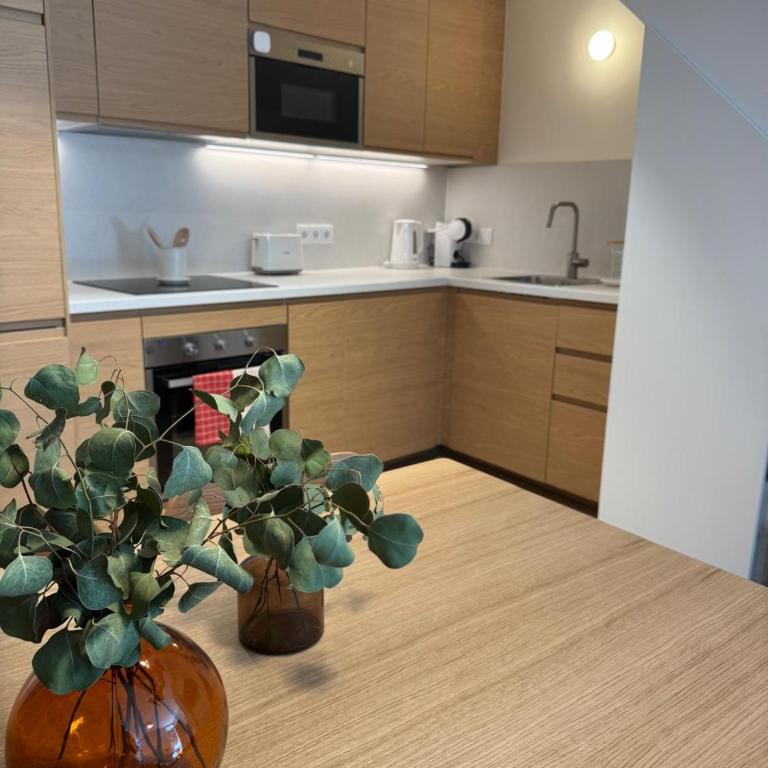 GaliciaGuestHome Figueroa, Centro Histórico - Appartement 3 Chambres - 21