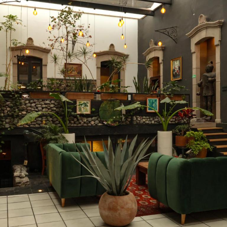 SanRafa Mx y Casa SanRafa - Suite Familiar Deluxe - 1