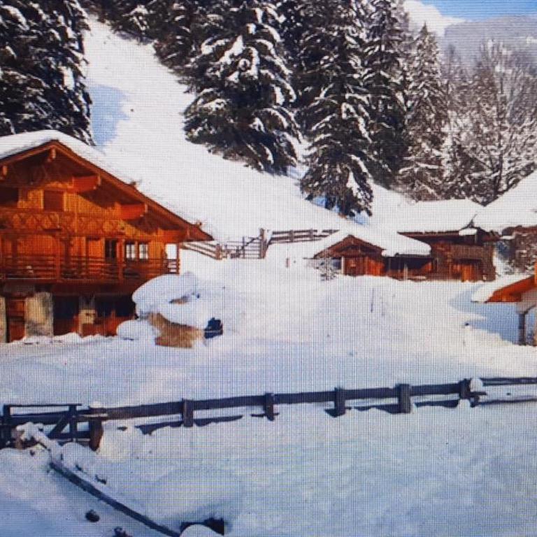 Wunderschönes Chalet Crevot - Maison 2 Chambres - 7