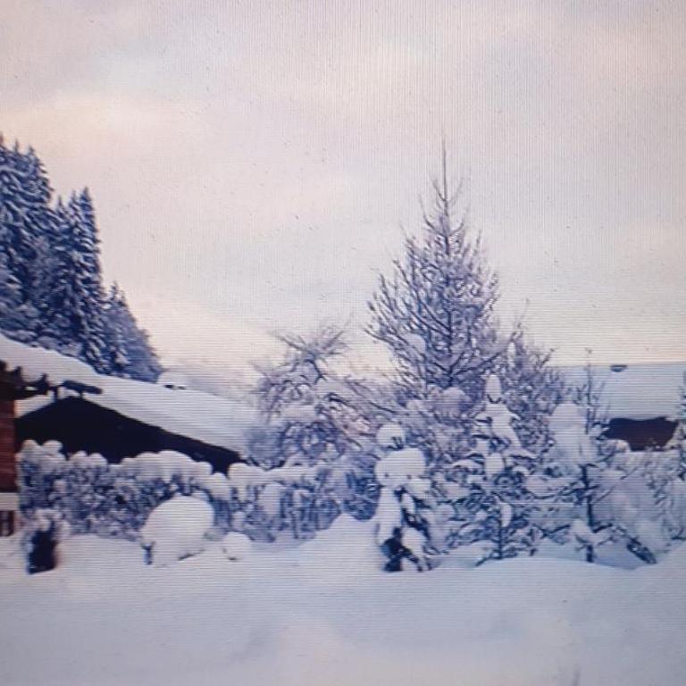 Gemütliches Chalet Ranavot - Maison 2 Chambres - 7