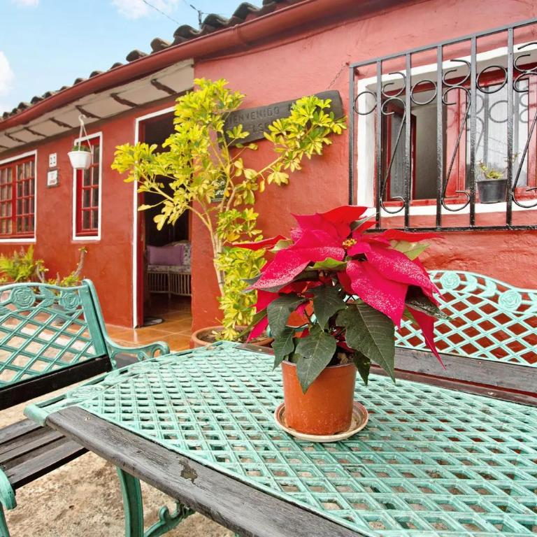 Casa Rural LA ASOMADA - Haus mit 2 Schlafzimmern - 15